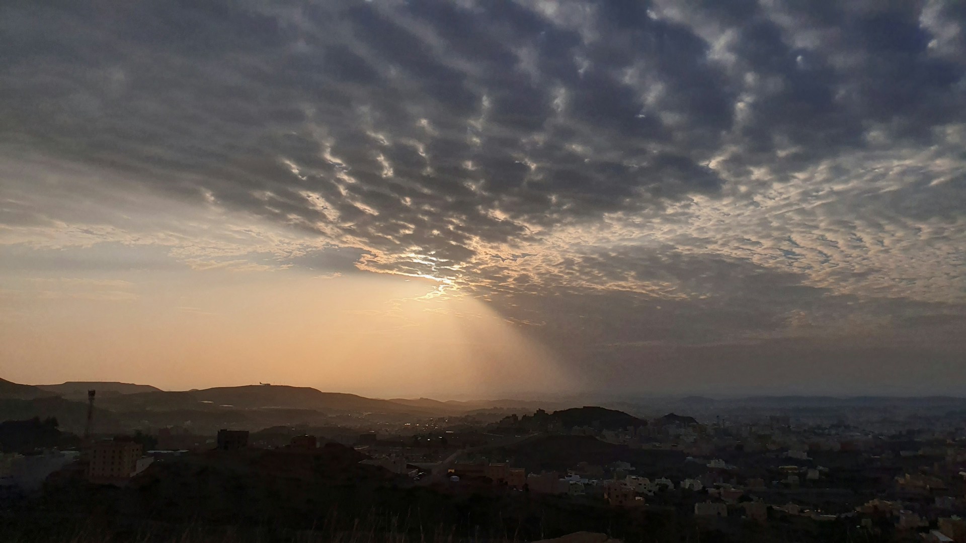 Best Web Hosting in Abha: Fast & Secure Internet Solutions