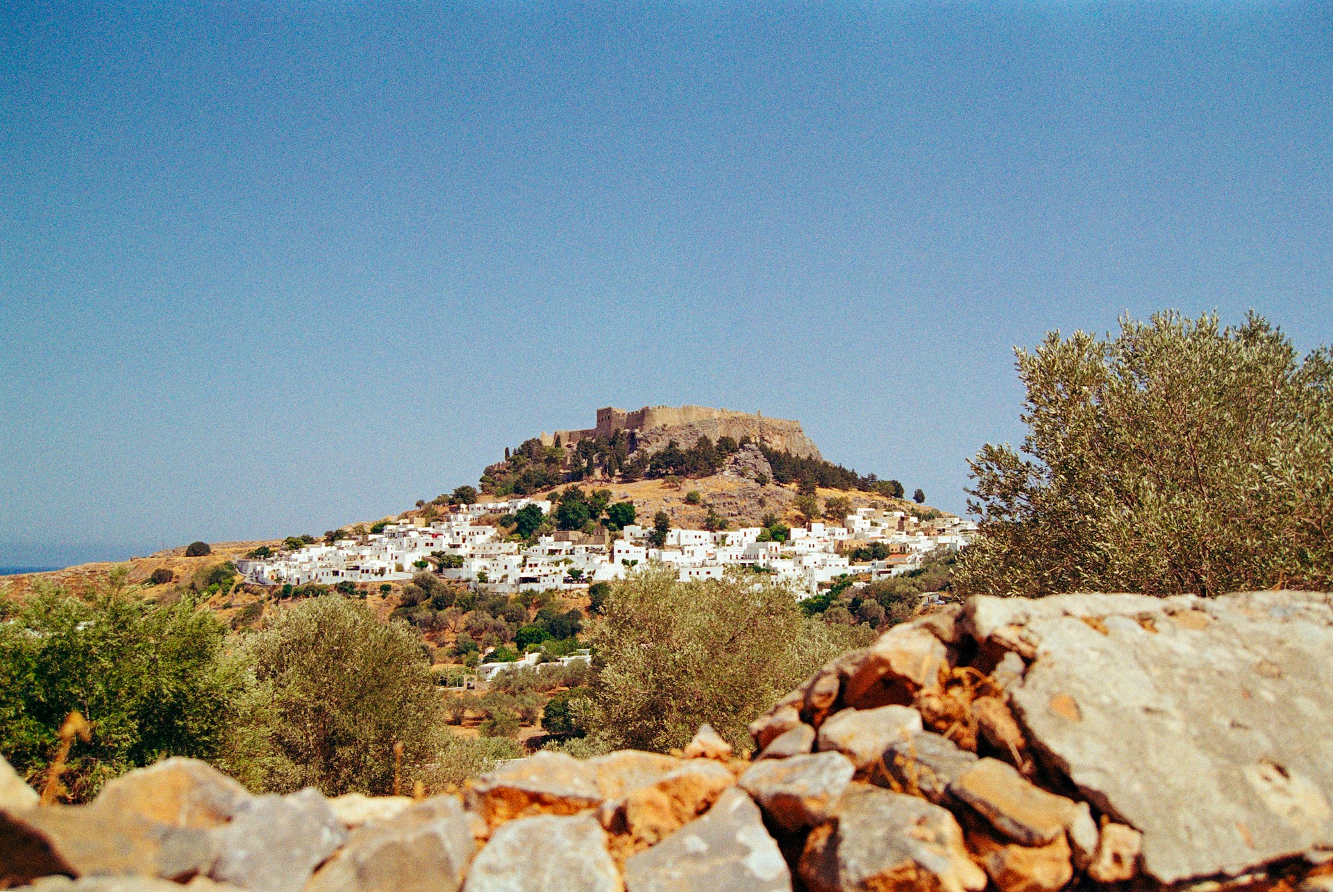 Top Assiut Web Hosting Services for Egyptian Businesses