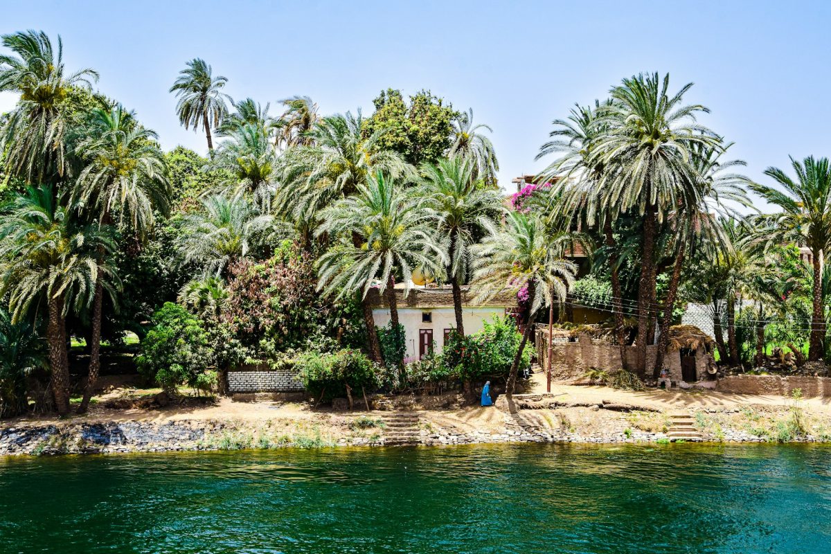 شركة استضافة مواقع في مصر: حلول سريعة وآمنة لأصحاب الأعمال