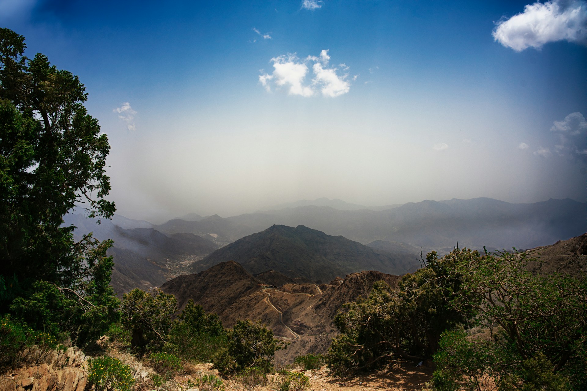 أفضل استضافة مواقع في أبها: خدمة رواد الأعمال في الجنوب