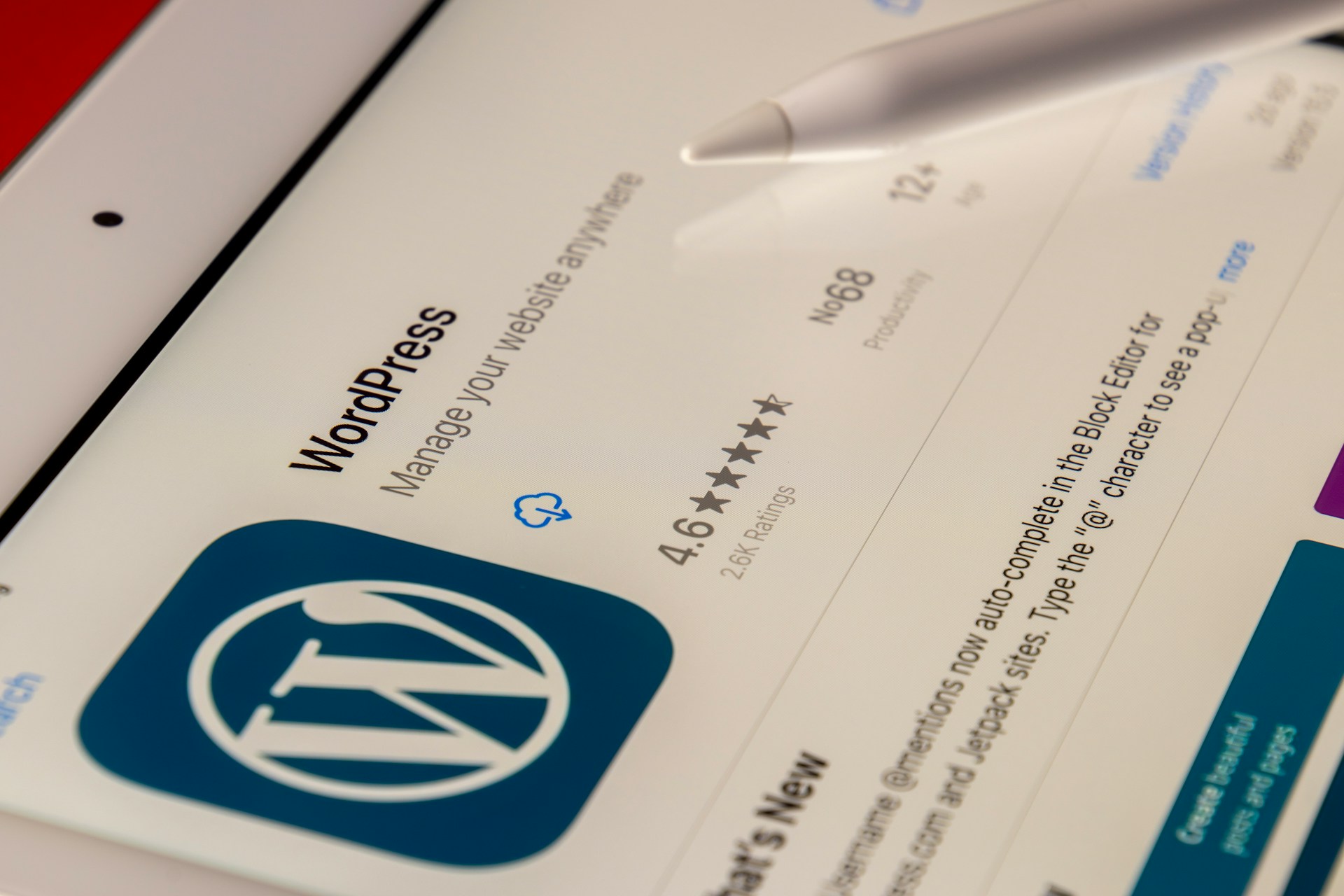 WordPress Development Dubai: Custom Websites for Businesses
